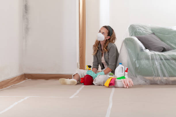 Reliable Black Mold Remediation contractor in Mundelein, IL by Mold Remediation HQ
